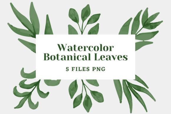 Download Botanical Watercolor Pack 23 - Premium Bundle