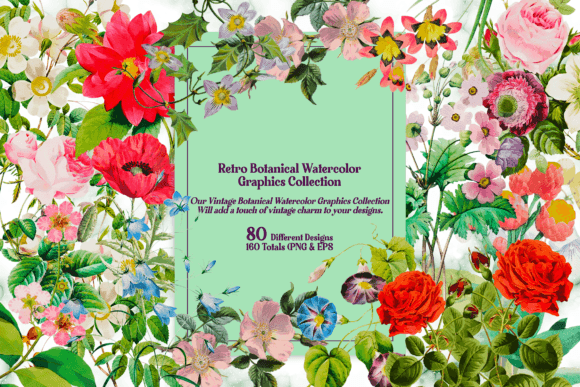Download Retro Botanical Watercolor Collection - Botanical watercolor Collection