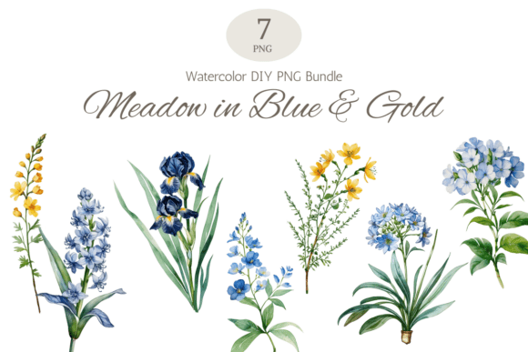 Download Blue Botanical Watercolor Floral Bundle - Botanical watercolor Collection