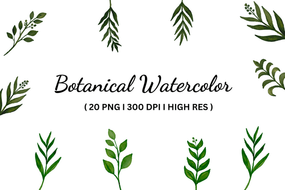 Download Botanical Watercolor Illustration - Botanical watercolor Collection