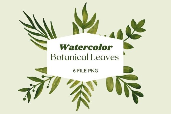Download Botanical Watercolor Leaves Pack 17 - Premium Resources