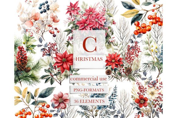 Download Christmas Botanical Watercolor Clipart - Botanical watercolor Collection